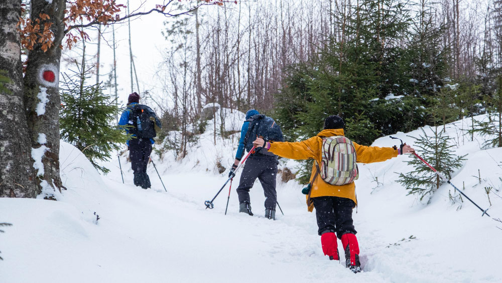 rutas guiadas raquetas nieve Navacerrada